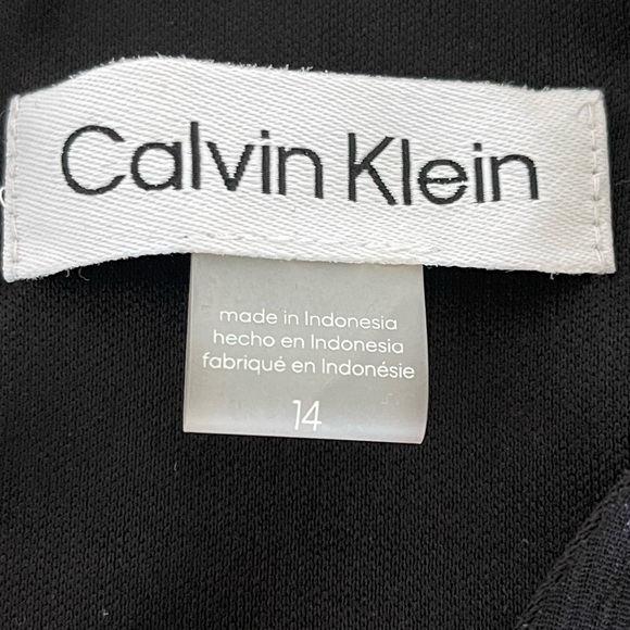 Calvin Klein Floral Ruffle Sleeve V-Neck Chiffon Dress - Picture 5 of 6